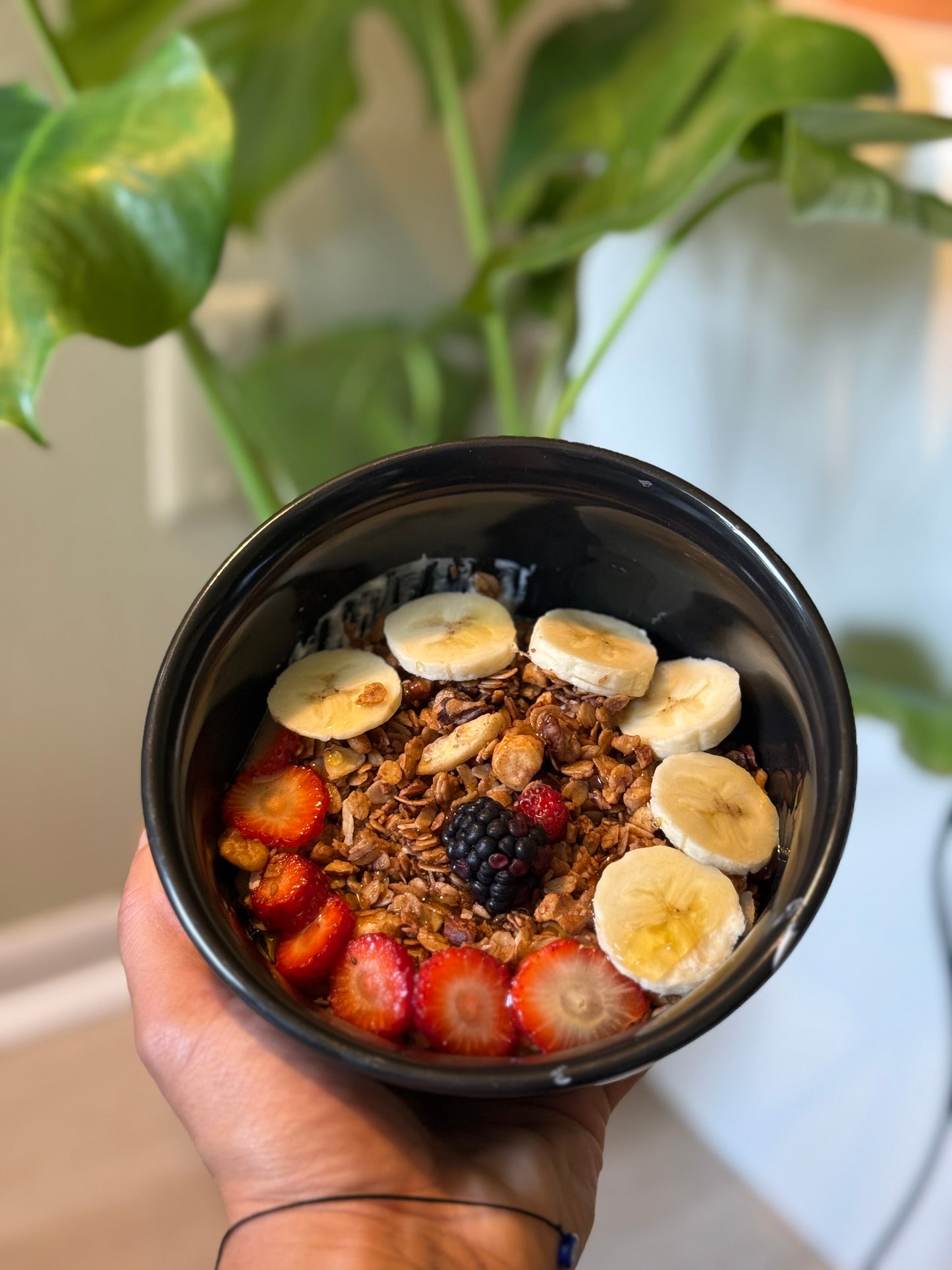 Granola The Exotic